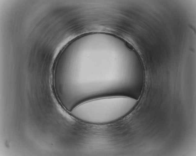 X0000103171136200808221122