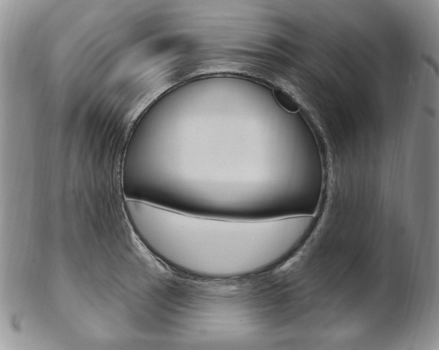 X0000103171137200808221122