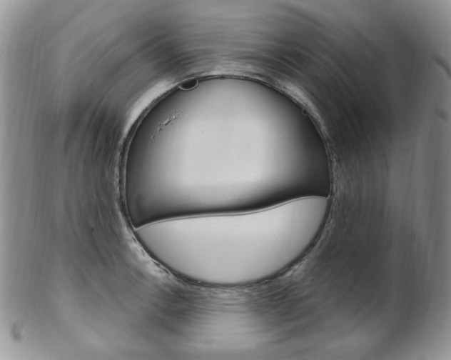 X0000103171138200808221122