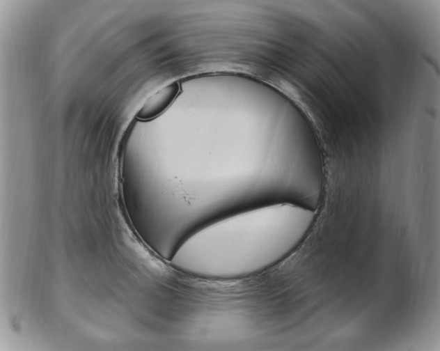 X0000103171140200808221122