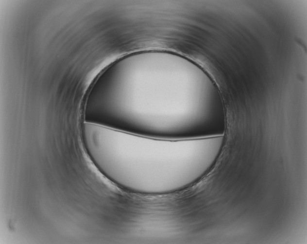 X0000103171142200808221122