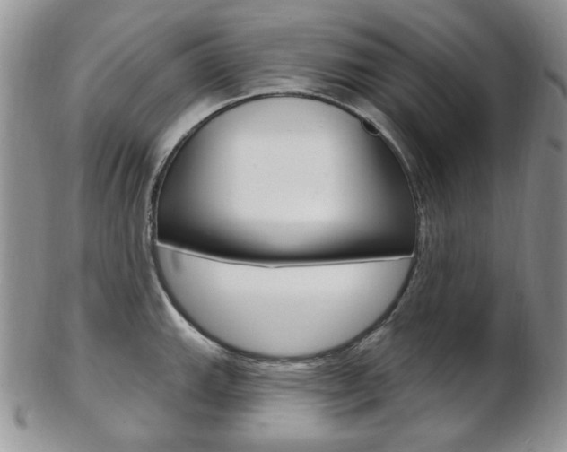 X0000103171143200808221122