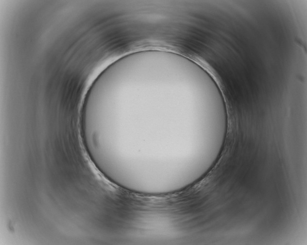 X0000103171144200808221122