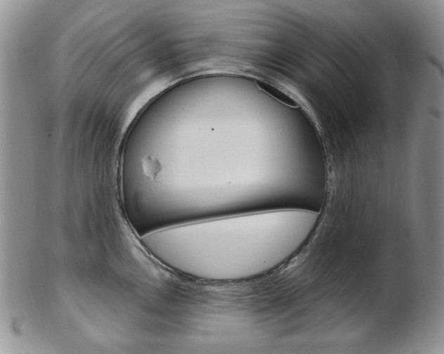 X0000103171146200808221122