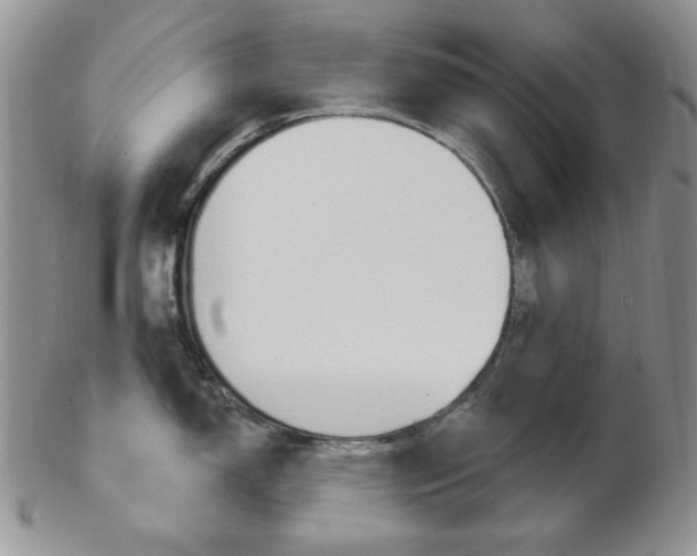 X0000103171150200808221122