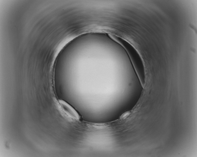X0000103171152200808221122