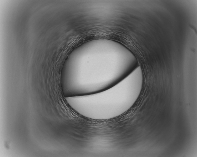 X0000103171153200808221122