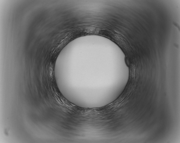 X0000103171154200808221122