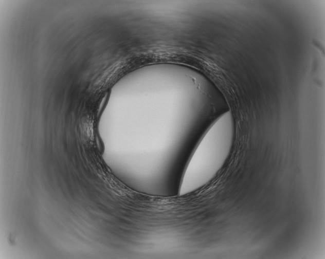 X0000103171155200808221122