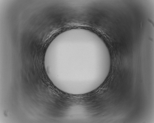 X0000103171157200808221122