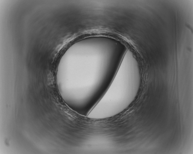 X0000103171160200808221122