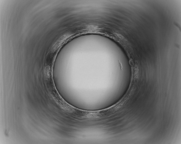 X0000103171161200808221122