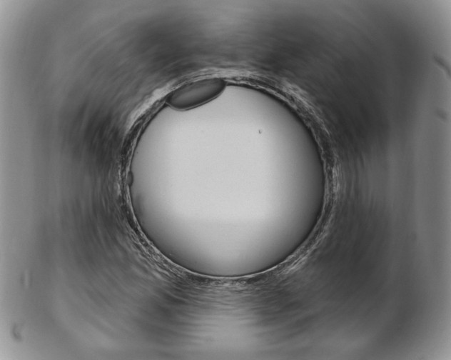 X0000103171165200808221122