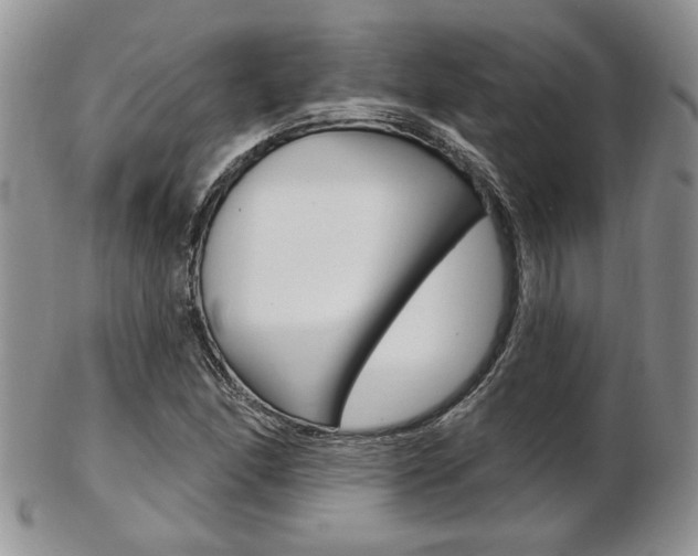 X0000103171166200808221121