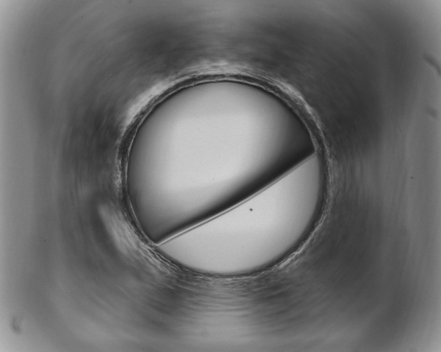 X0000103171167200808221121
