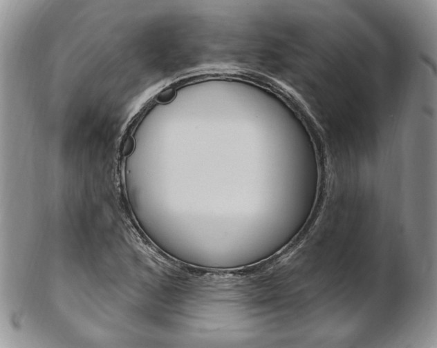 X0000103171168200808221121