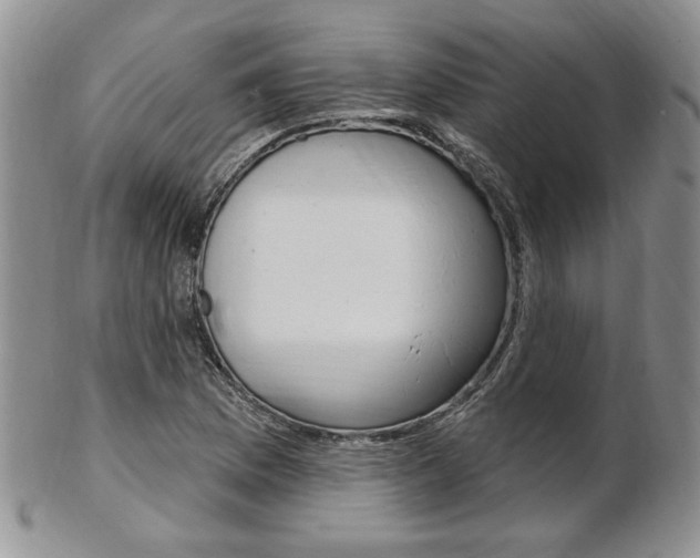 X0000103171169200808221121