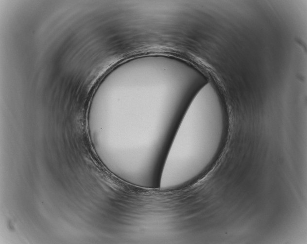 X0000103171170200808221121