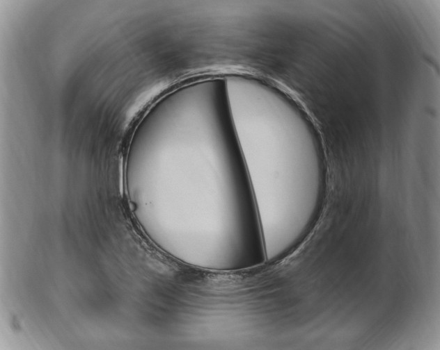X0000103171171200808221121