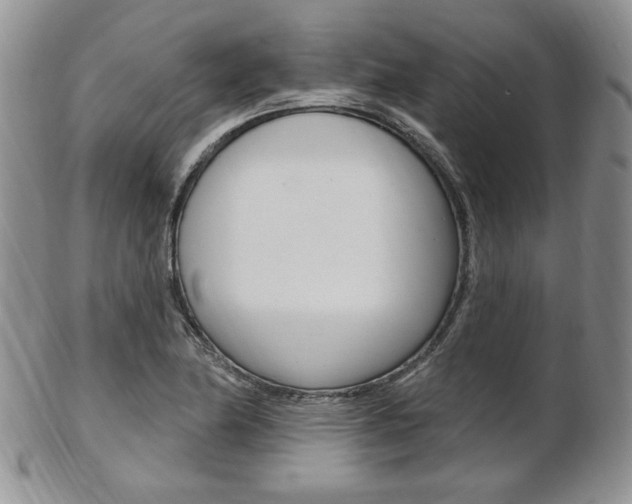 X0000103171174200808221121