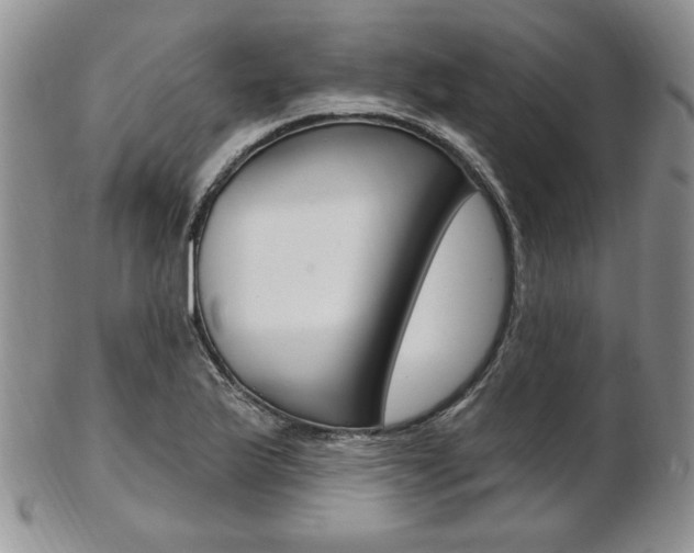 X0000103171175200808221121