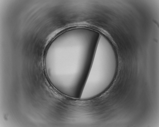 X0000103171176200808221121