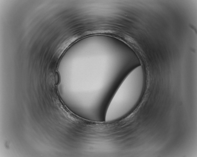 X0000103171177200808221121