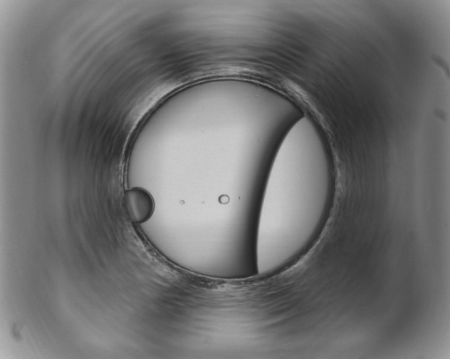 X0000103171178200808221121