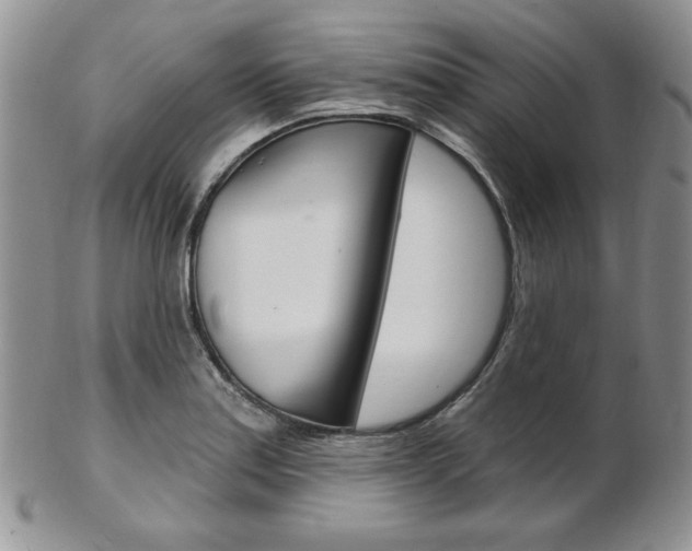 X0000103171179200808221121
