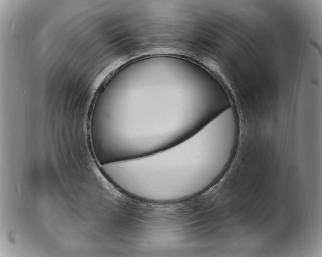 X0000103171181200808221121