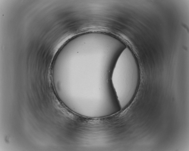 X0000103171182200808221121