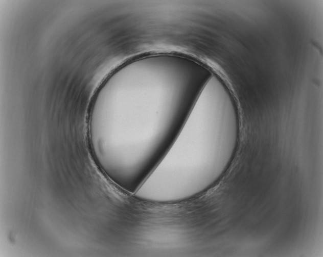 X0000103171183200808221121
