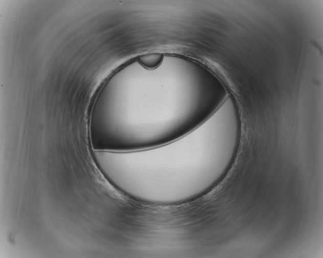 X0000103171184200808221121