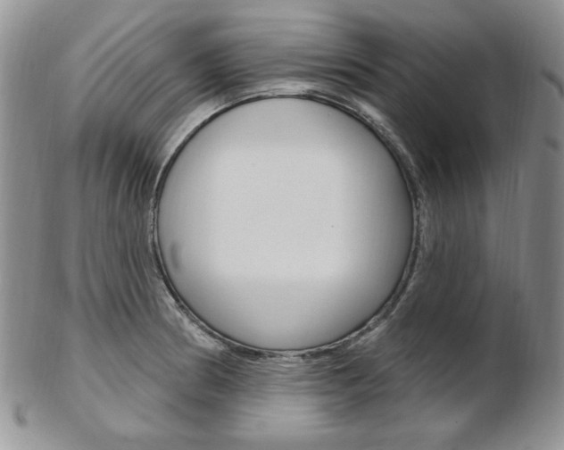 X0000103171186200808221121