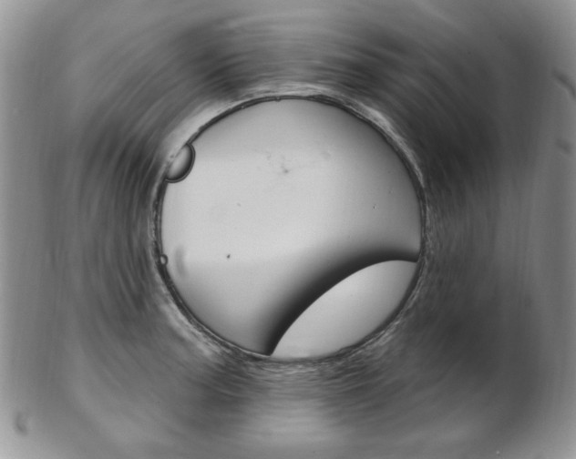 X0000103171187200808221121