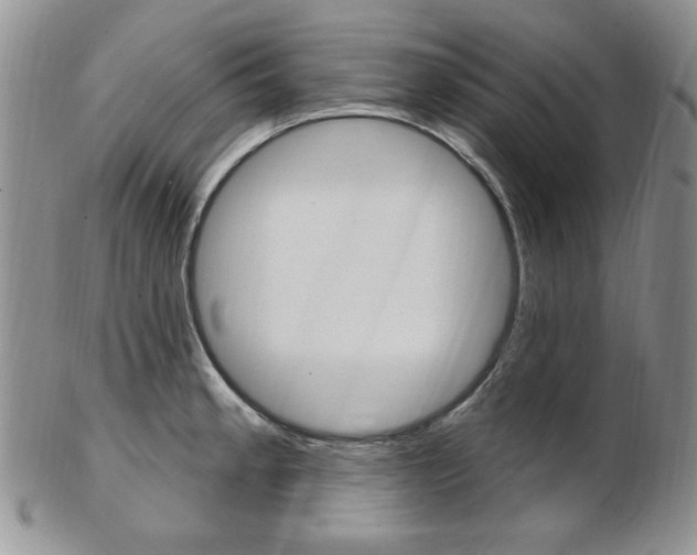 X0000103171189200808221121