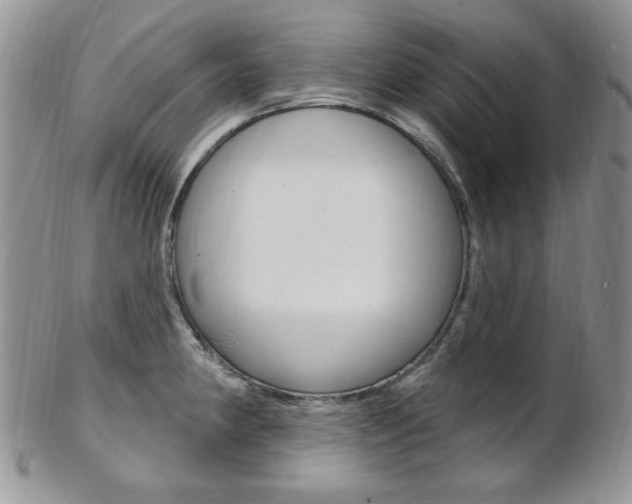 X0000103171190200808221121