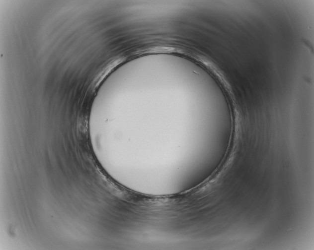 X0000103171193200808221121
