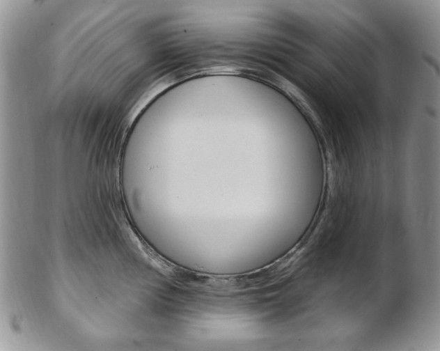 X0000103171194200808221121