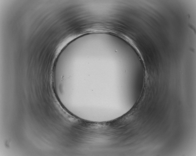 X0000103171195200808221121