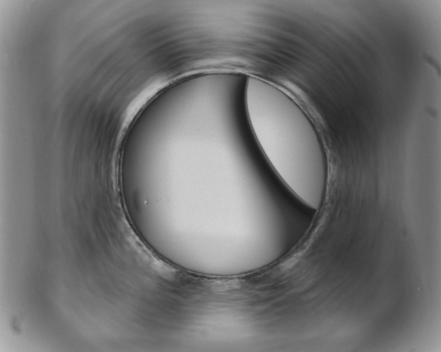 X0000103171196200808221121