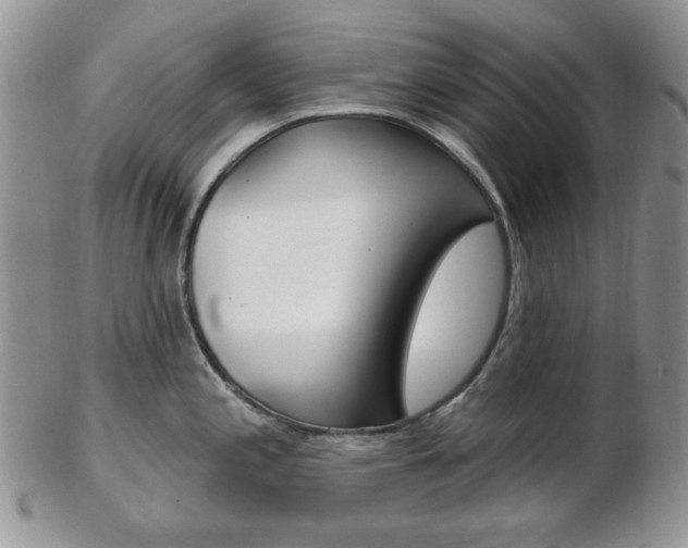 X0000103171197200808221121
