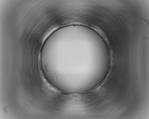 X0000103171198200808221121