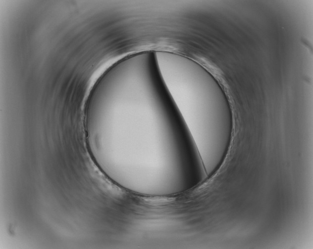 X0000103171200200808221121