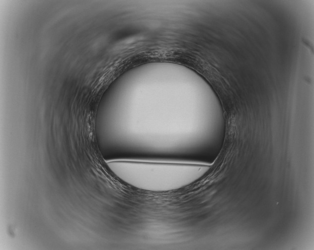 X0000103171202200808221120