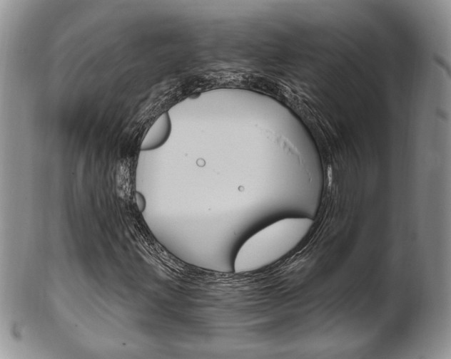 X0000103171203200808221120
