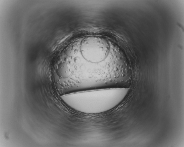 X0000103171205200808221120
