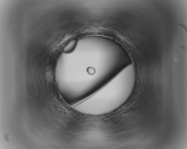 X0000103171206200808221120