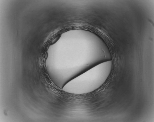 X0000103171207200808221120