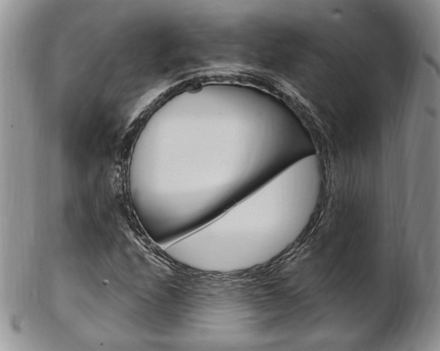 X0000103171208200808221120
